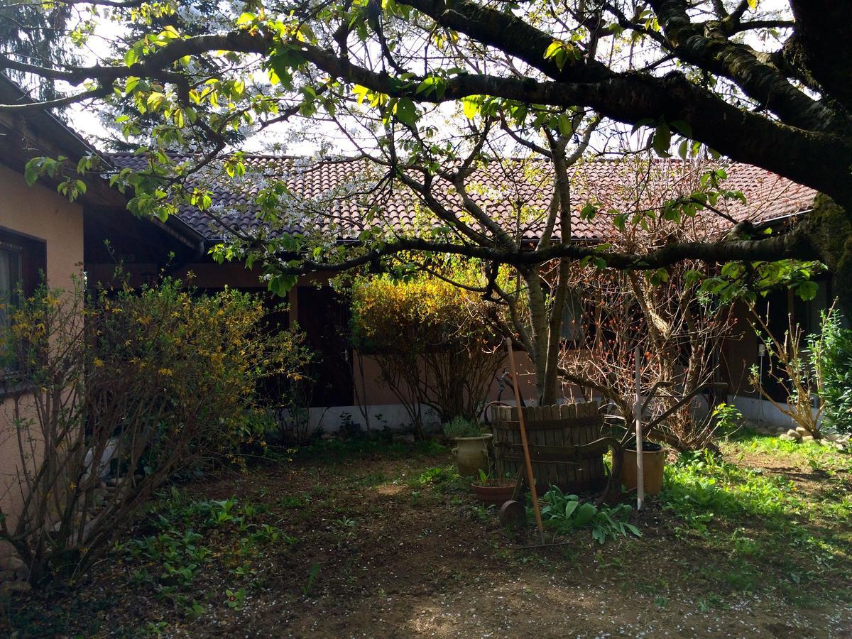 La Ferme de Thoudiere Saint-Étienne-de-Saint-Geoirs Buitenkant foto